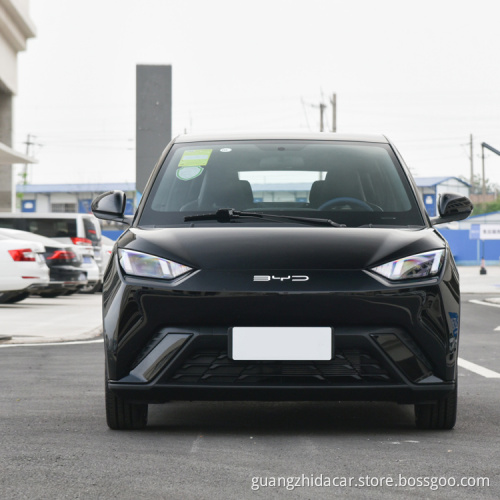 2023 New car Cheapest SUV Pure Electric Vehicle Ev car BYD Seagull for sale